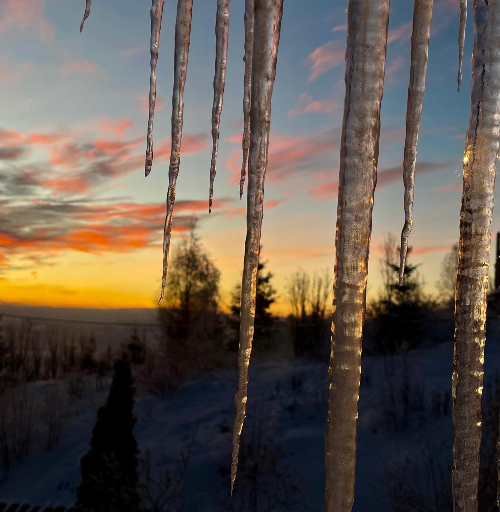 Stabbur Steinbekken, Back To Basic Primitive Overnight Eidsvoll 外观 照片